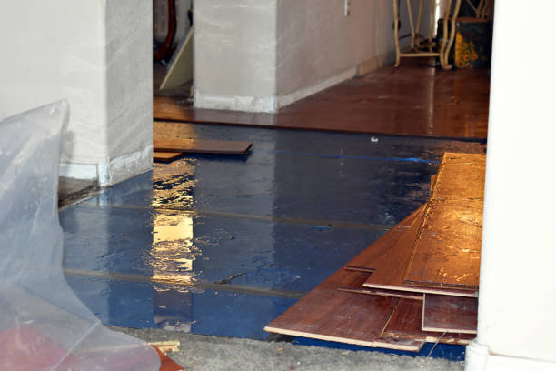 Professional Flood Cleanup technician working in Brentwood, CA